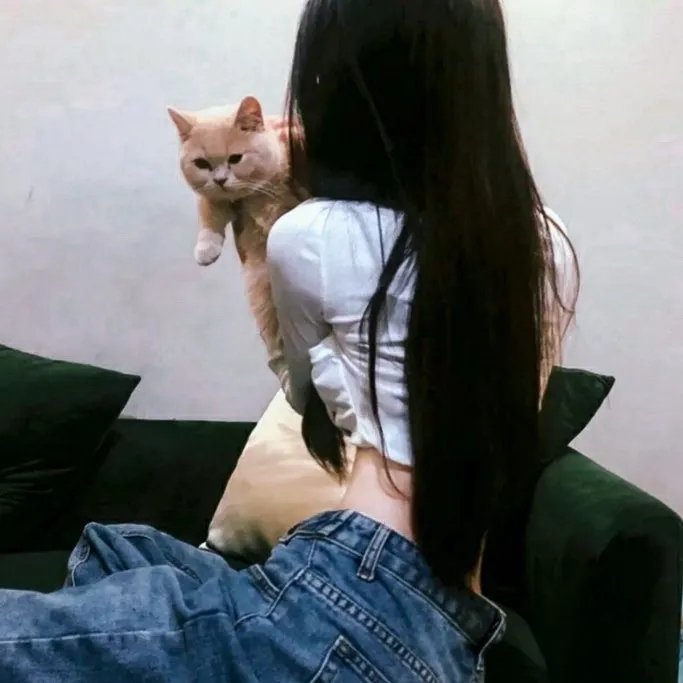 爱情谜语粤语 在线观看